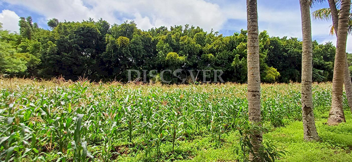  Land with large structures for sale - Jinotepe