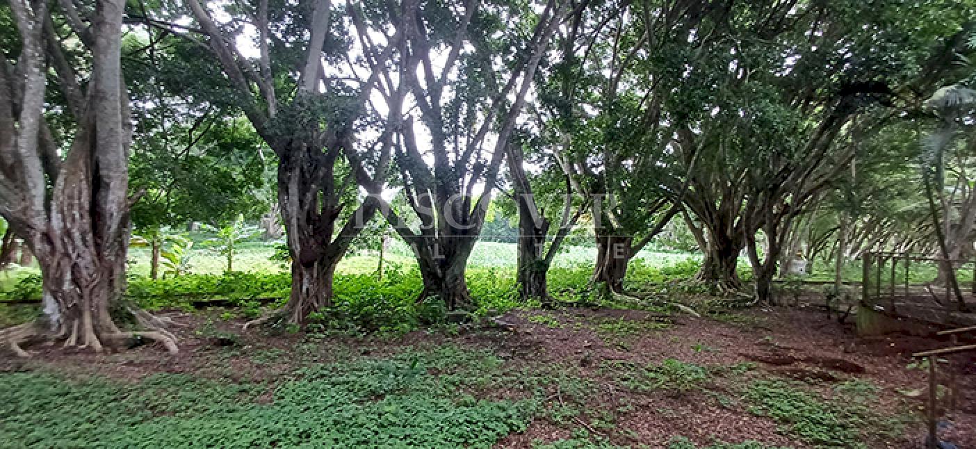  Land with large structures for sale - Jinotepe