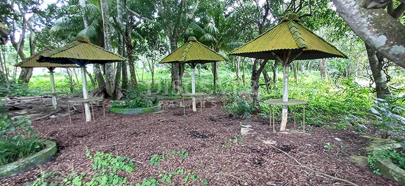  Land with large structures for sale - Jinotepe