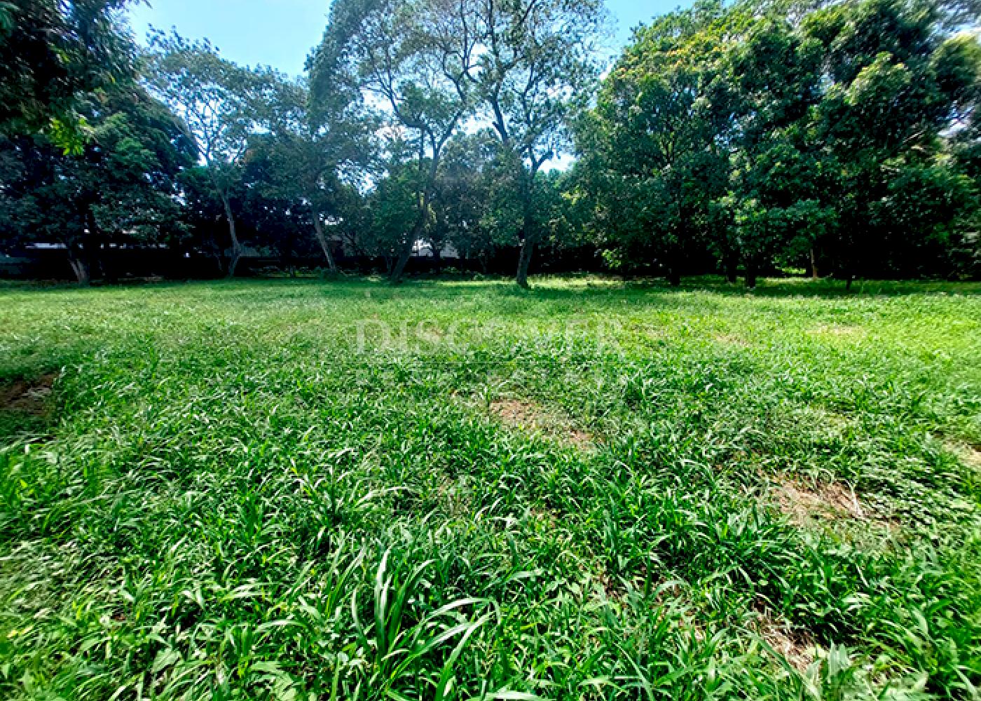 https://images.discovernica.com/propiedad/1600/ID8396.png