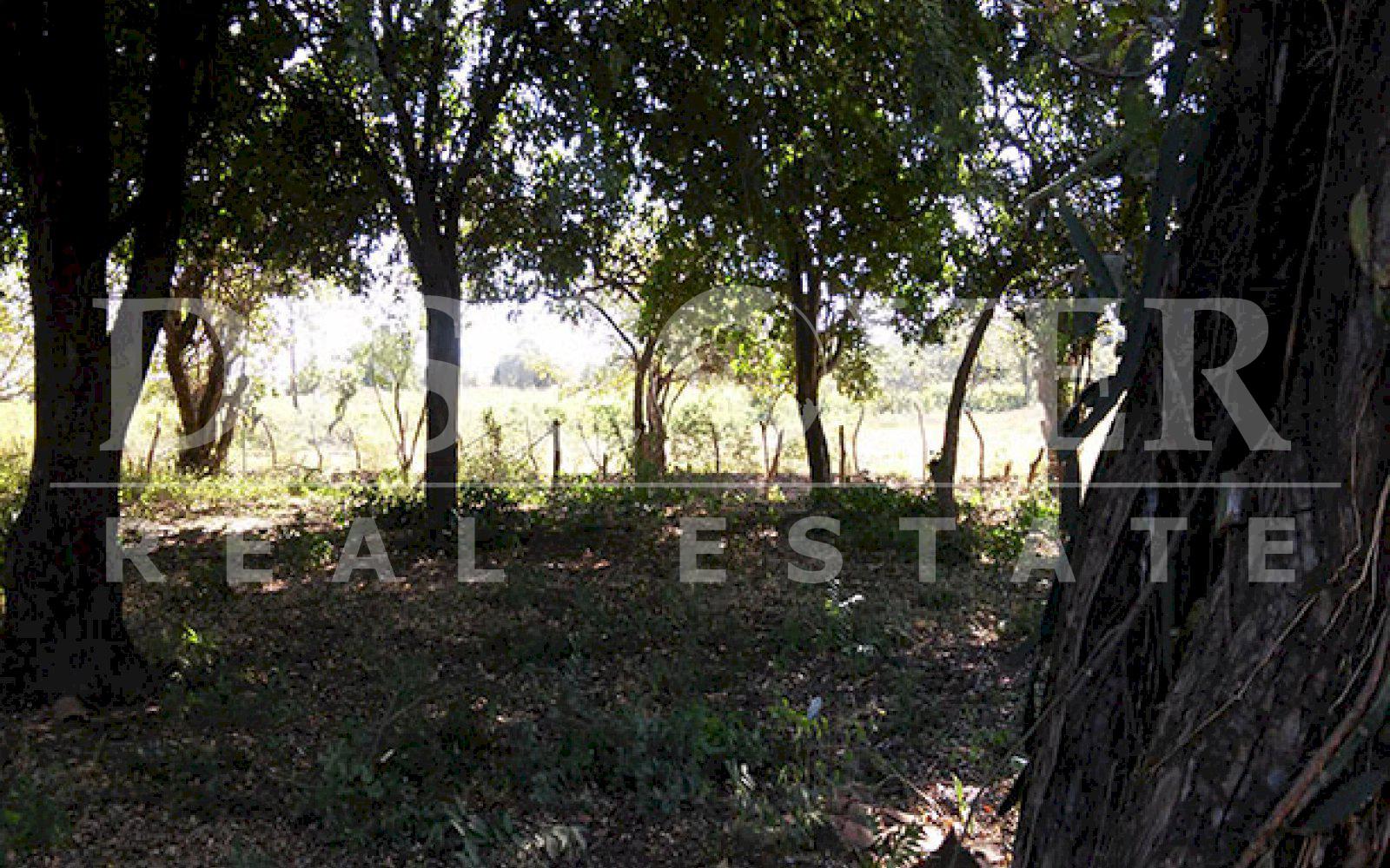 https://images.discovernica.com/propiedad/1600/ID9720_VENTA.TERRENO.LEON.NICARAGUA.U_23_000_2_.jpg