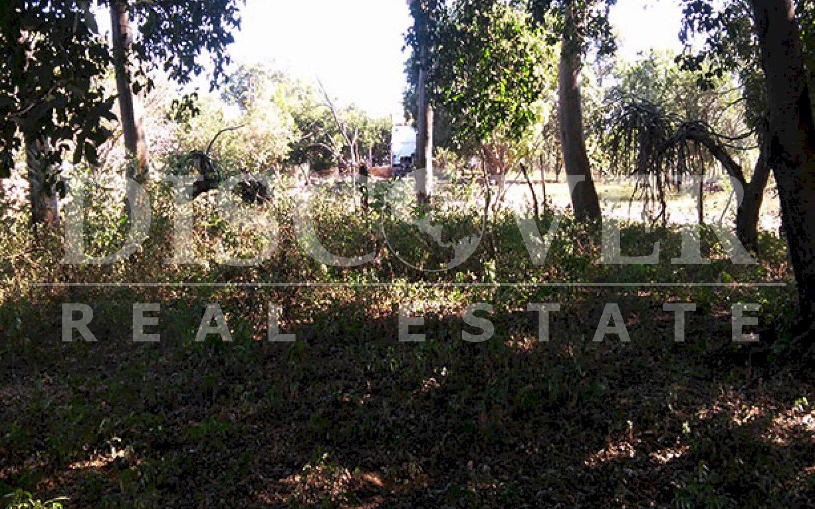 https://images.discovernica.com/propiedad/1600/ID9720_VENTA.TERRENO.LEON.NICARAGUA.U_23_000_6_.jpg