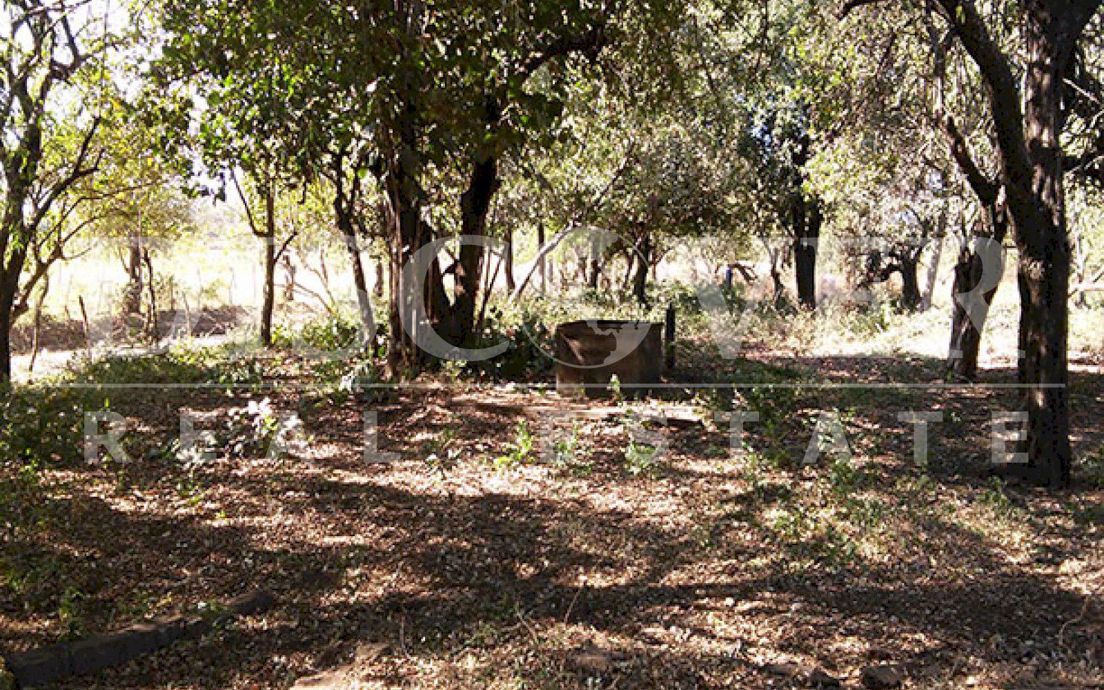 https://images.discovernica.com/propiedad/1600/ID9720_VENTA.TERRENO.LEON.NICARAGUA.U_23_000_8_.jpg