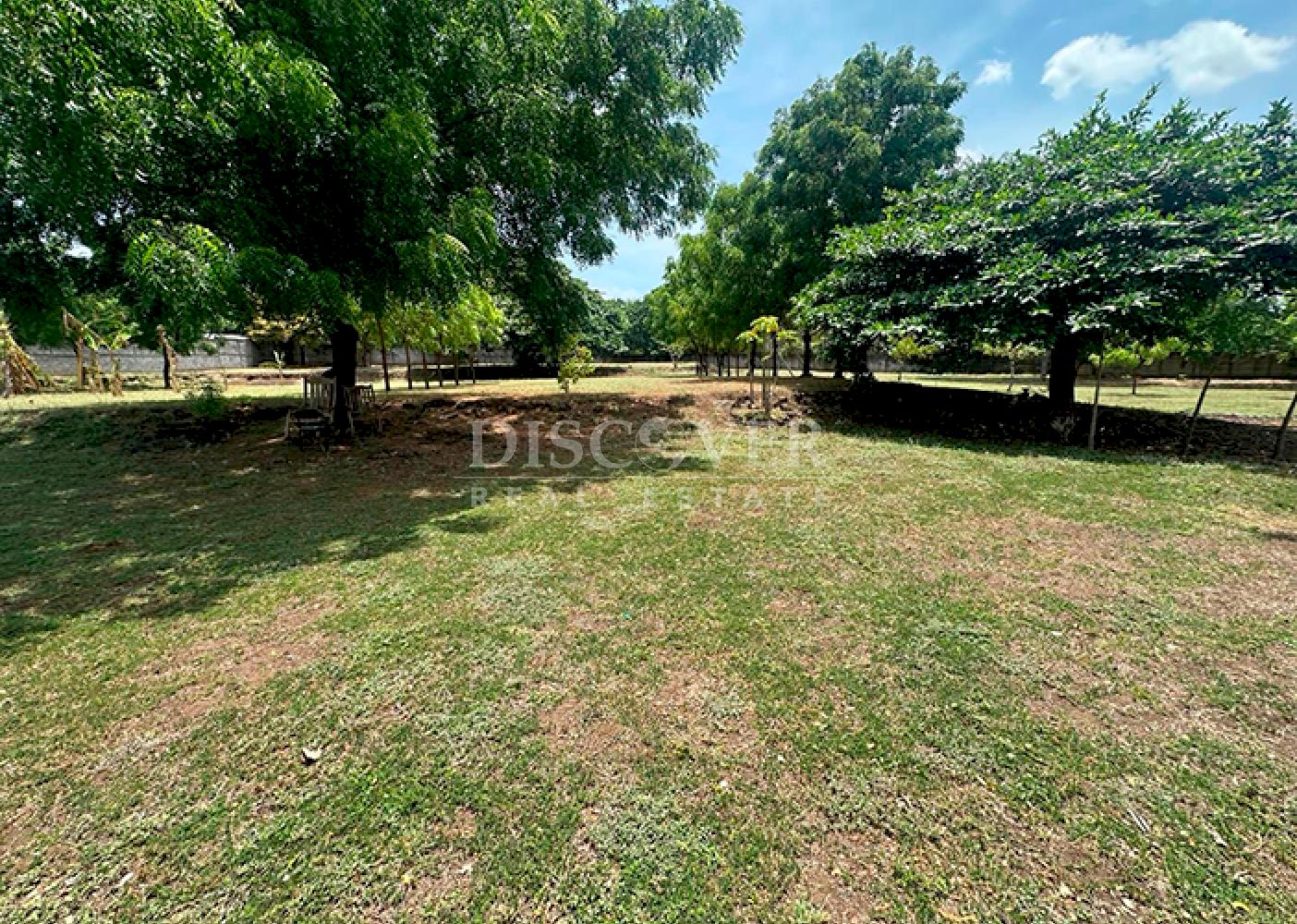 Flat land for sale - Masaya Highway