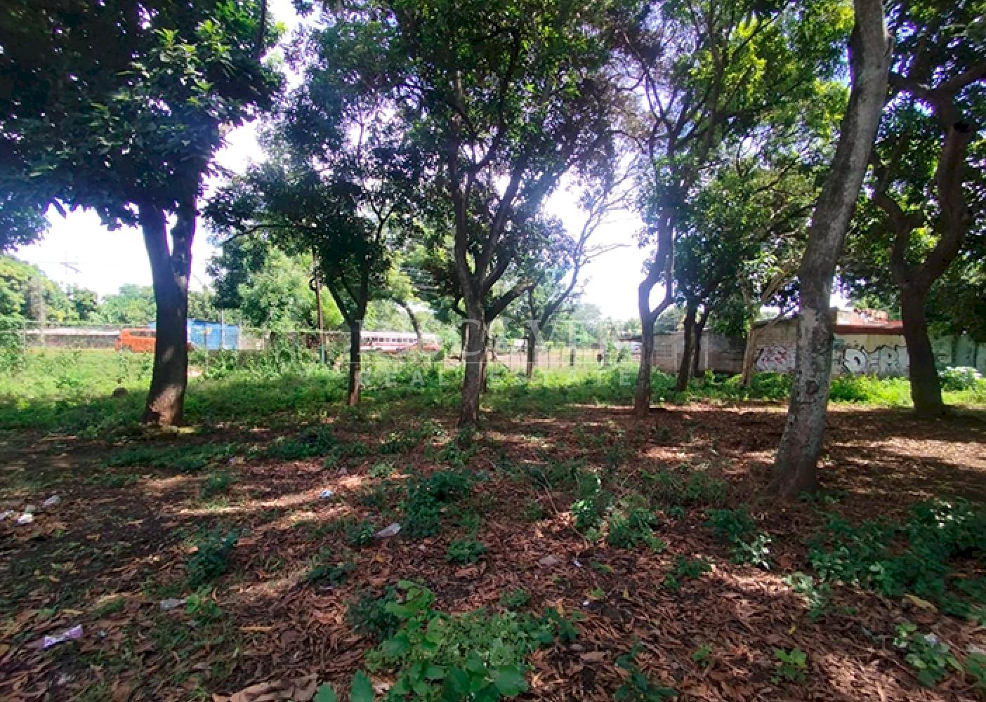 Flat land for sale in Masaya
