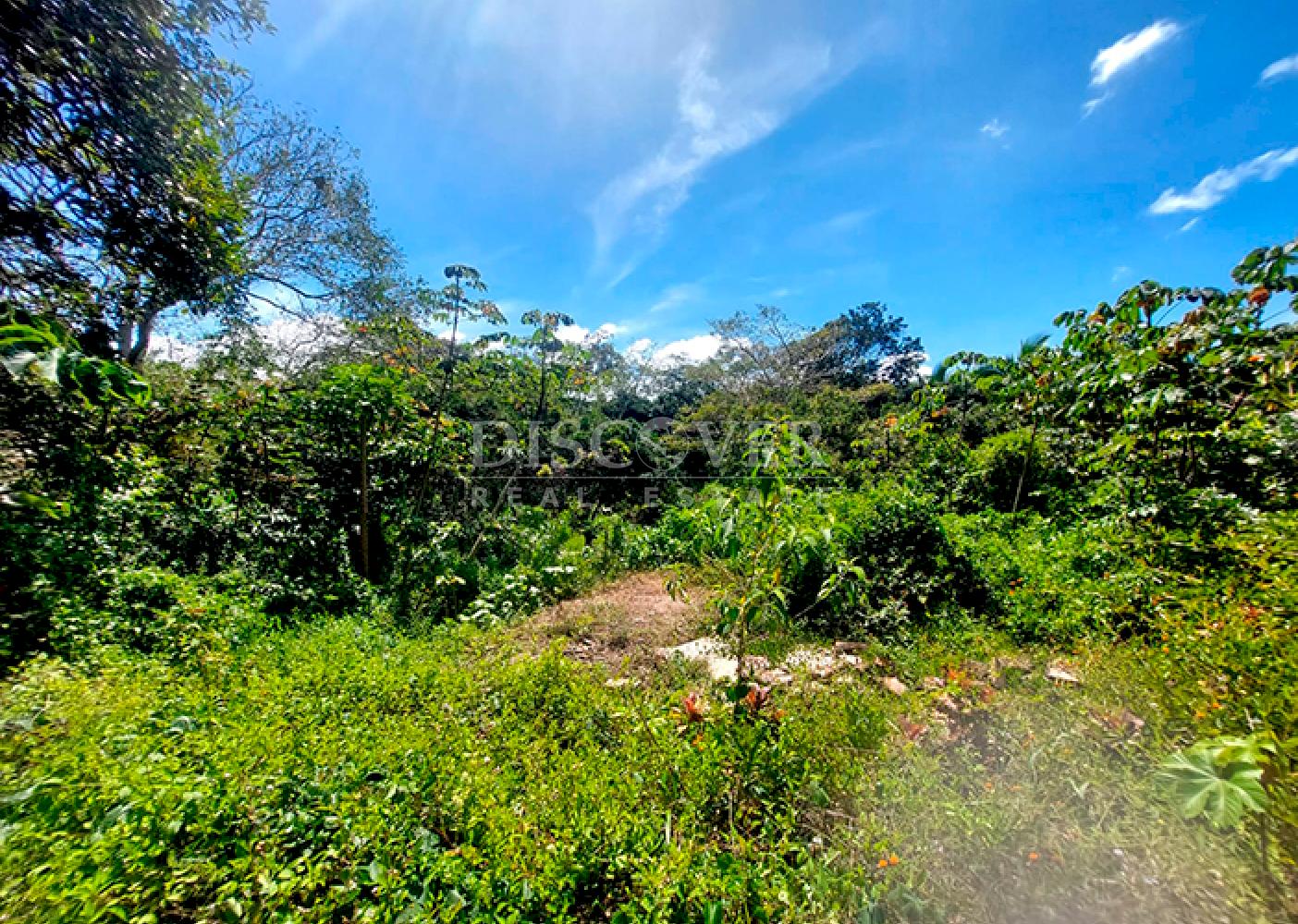  Land for sale/rent on the road to San Marcos