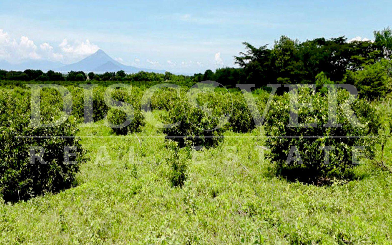 Imagen 3 de la galería