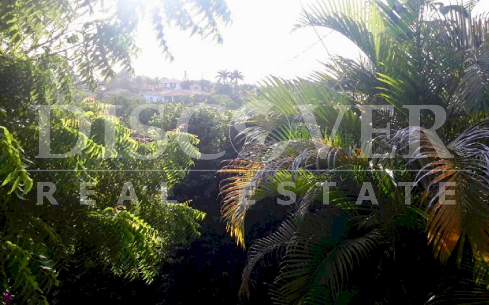https://images.discovernica.com/propiedad/1600/ID_12030_5.jpg