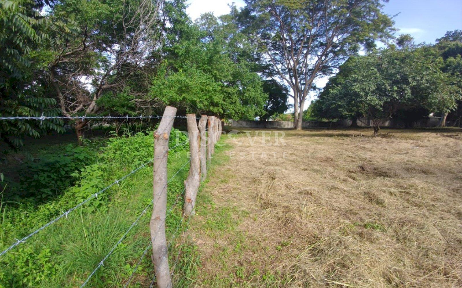 Imagen 5 de la galería
