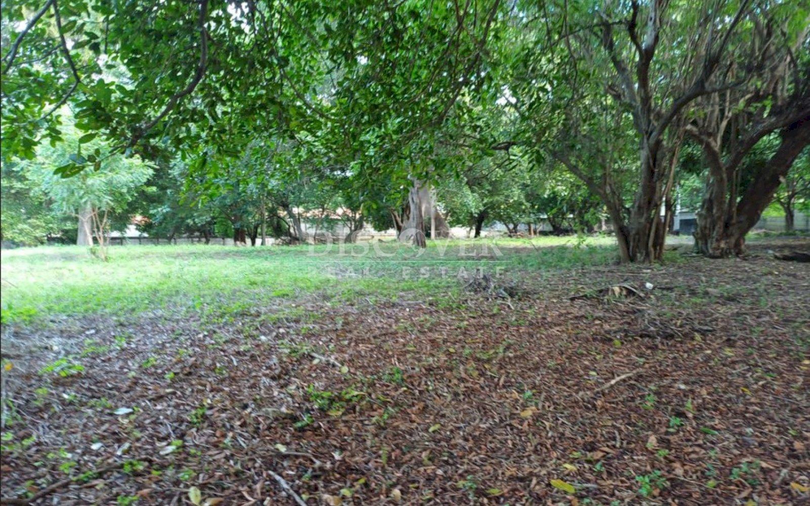 Imagen 4 de la galería