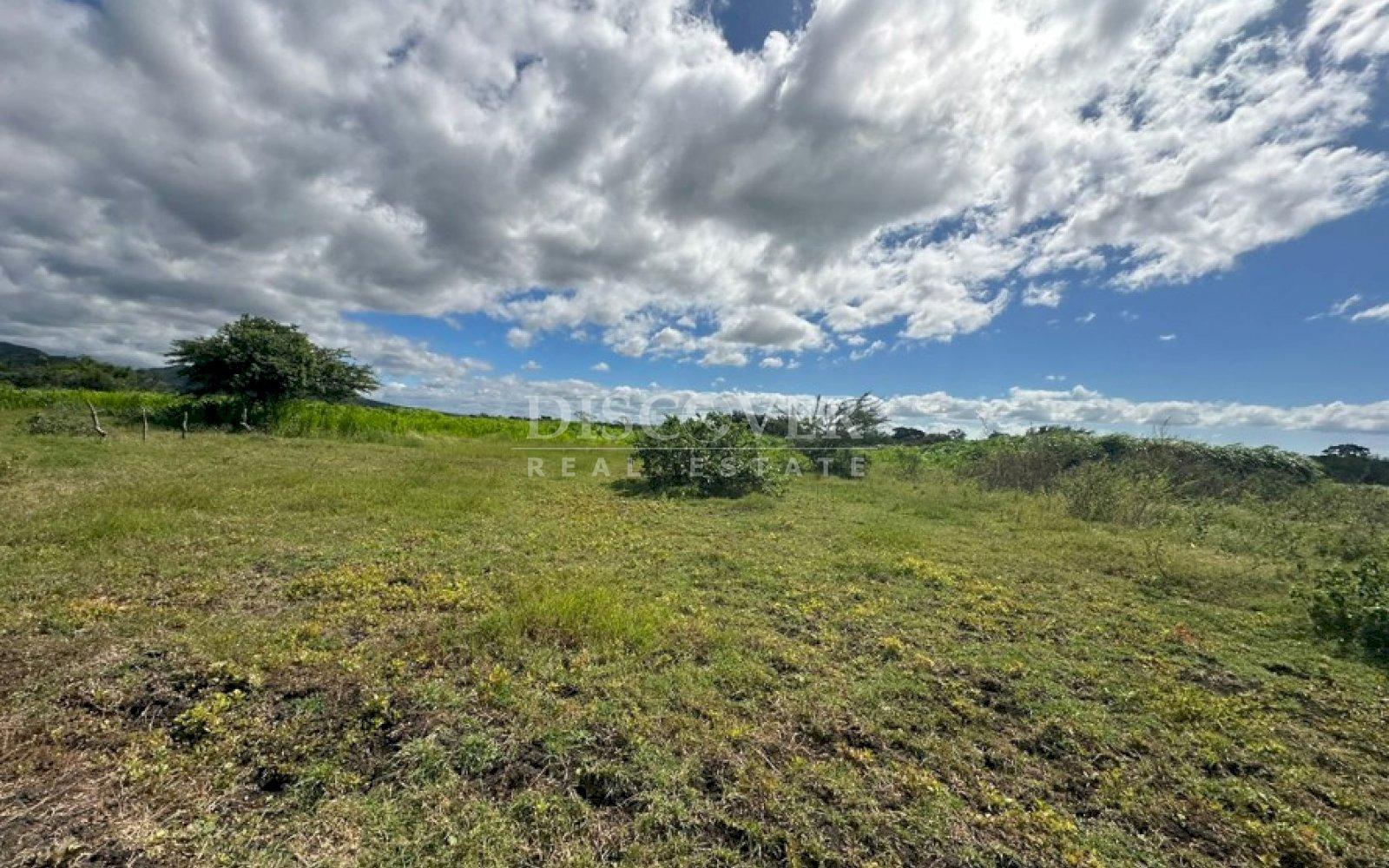  Farm for sale in San Benito Tipitapa