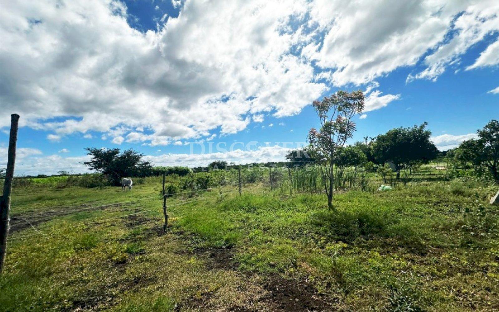  Farm for sale in San Benito Tipitapa