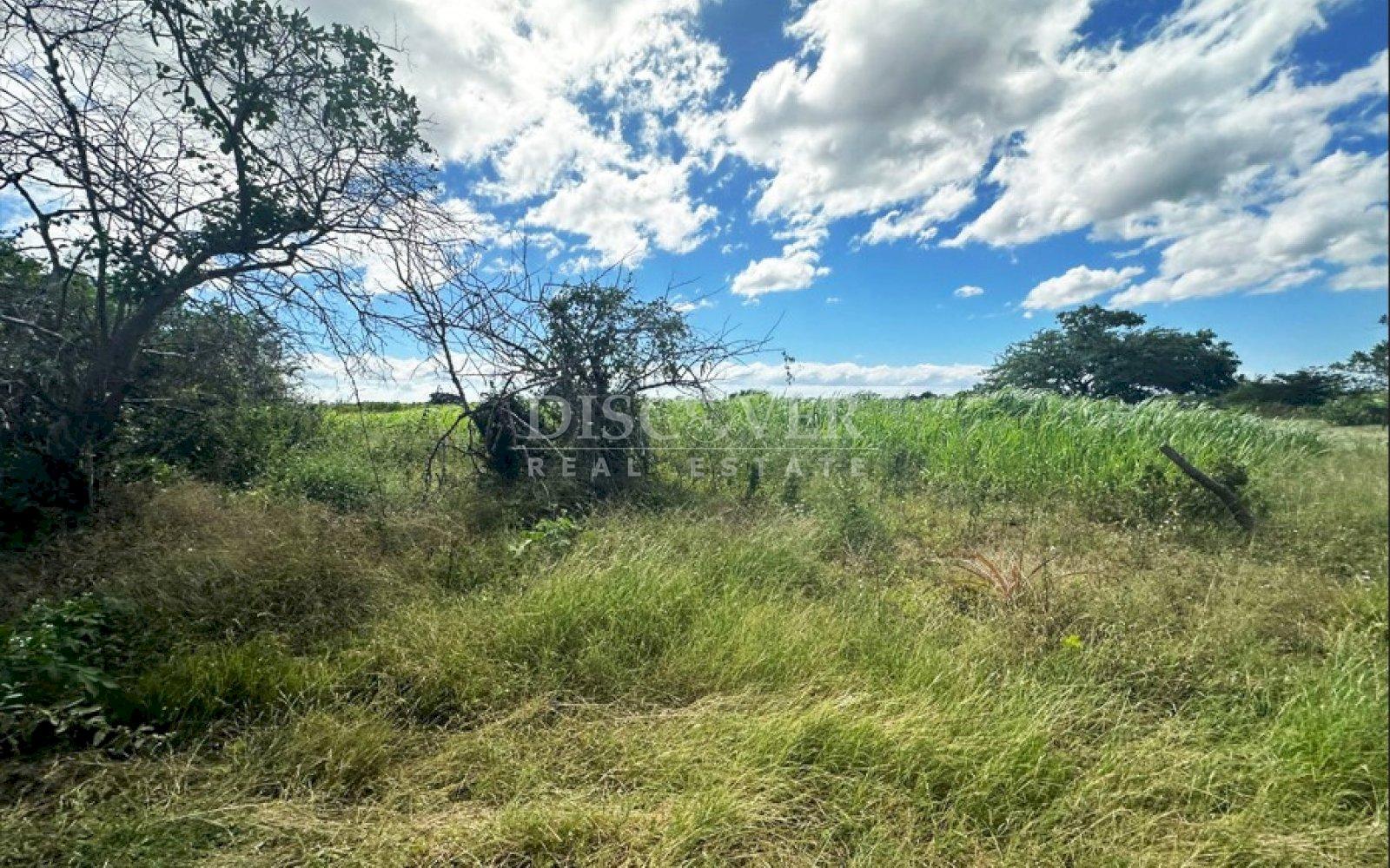  Farm for sale in San Benito Tipitapa