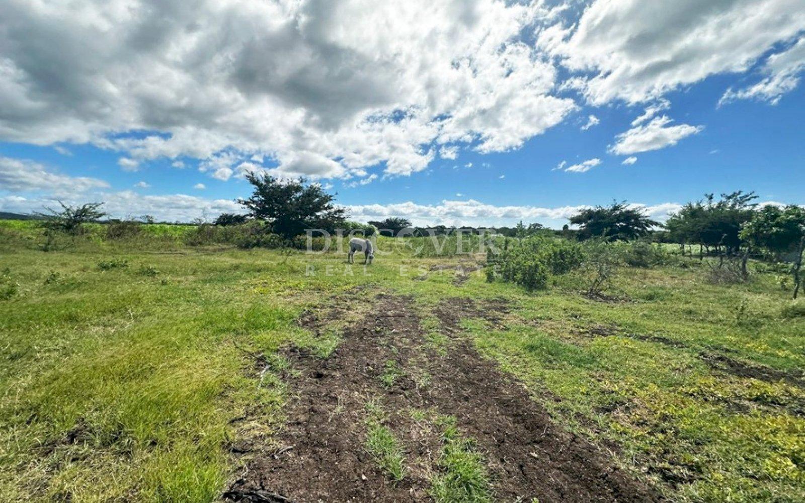  Farm for sale in San Benito Tipitapa