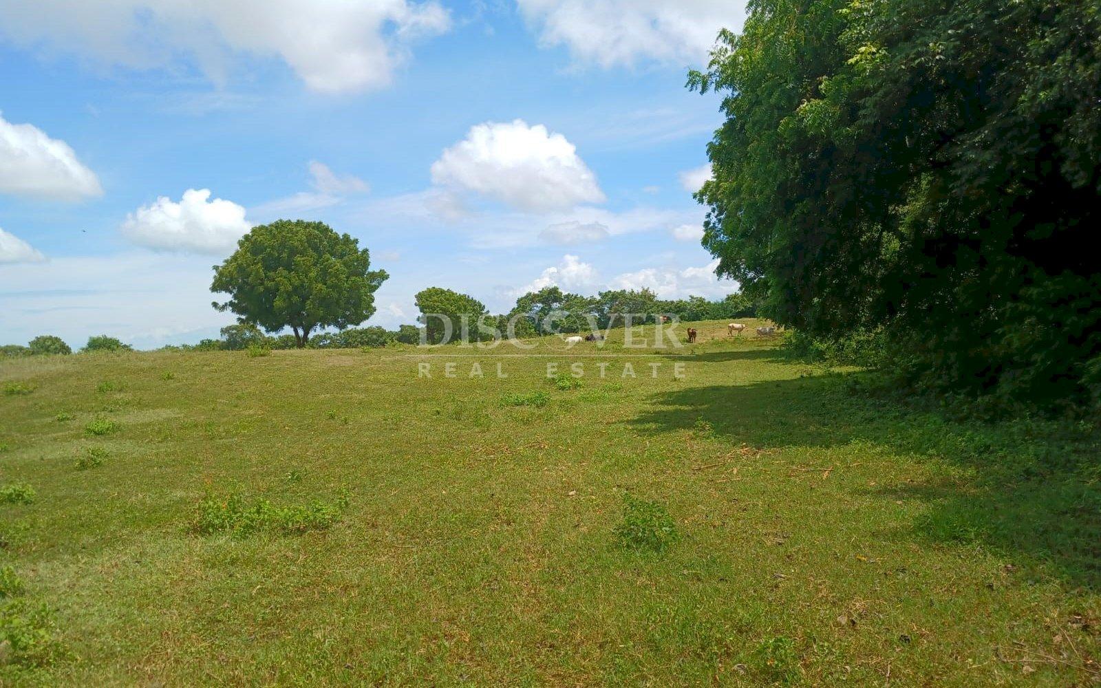 https://images.discovernica.com/propiedad/1600/ID_13436_12_.jpg