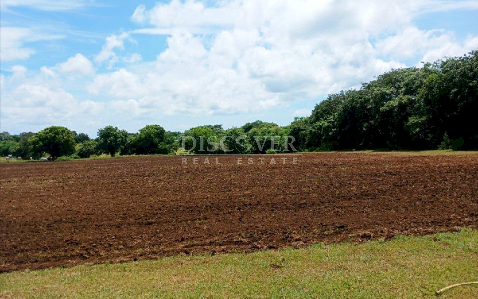 https://images.discovernica.com/propiedad/1600/ID_13436_7_.jpg