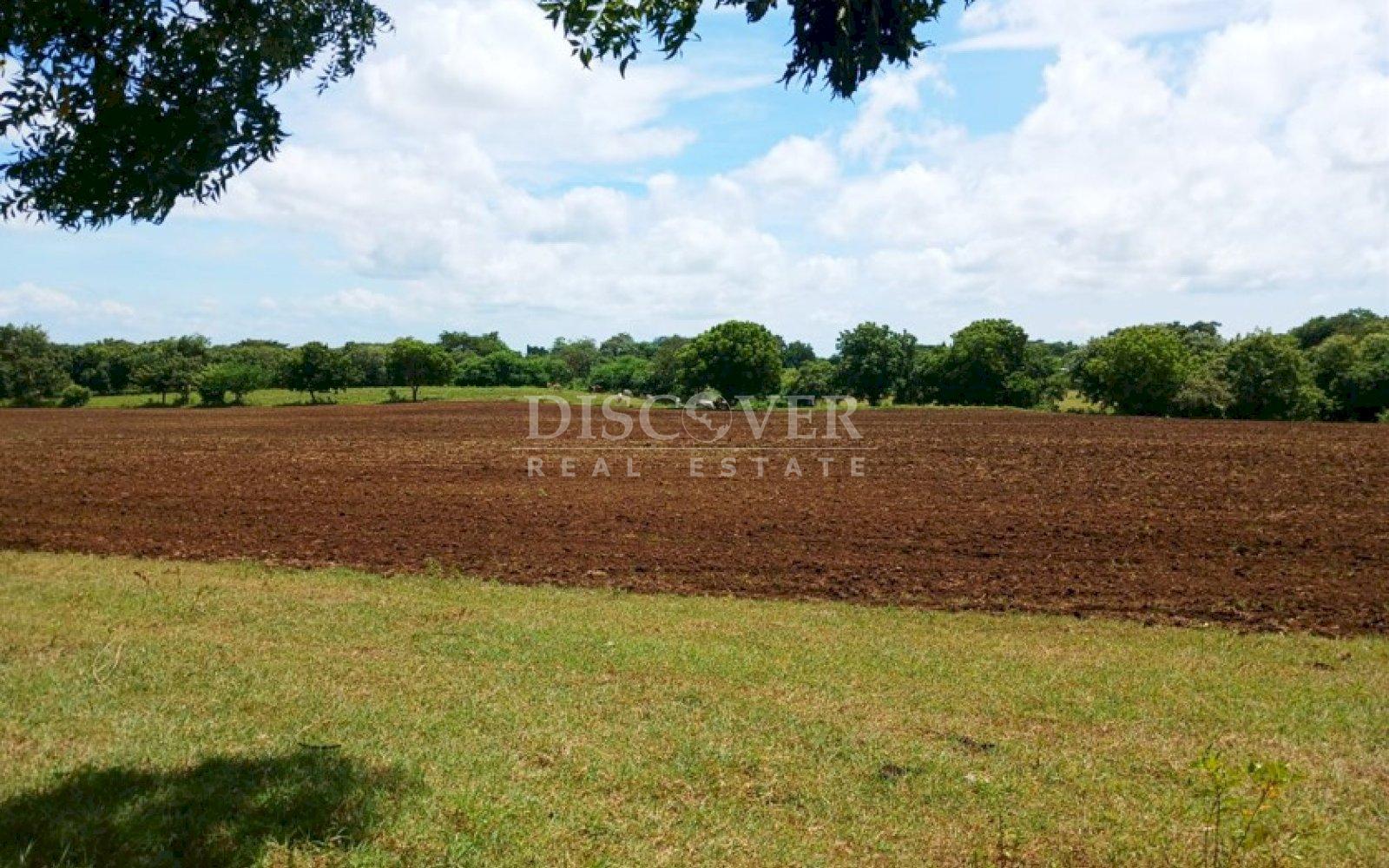 https://images.discovernica.com/propiedad/1600/ID_13436_8_.jpg