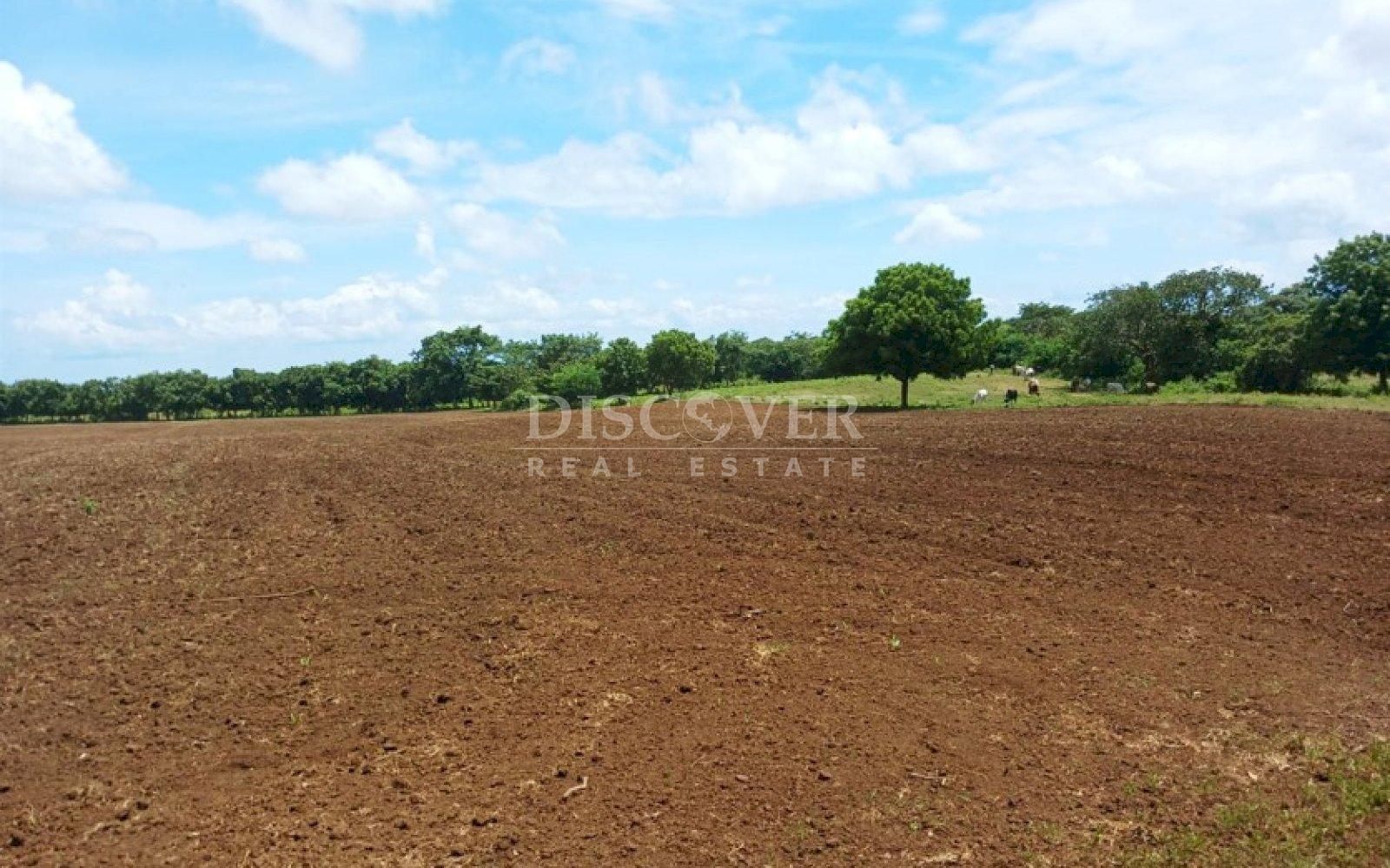 https://images.discovernica.com/propiedad/1600/ID_13436_9__1.jpg
