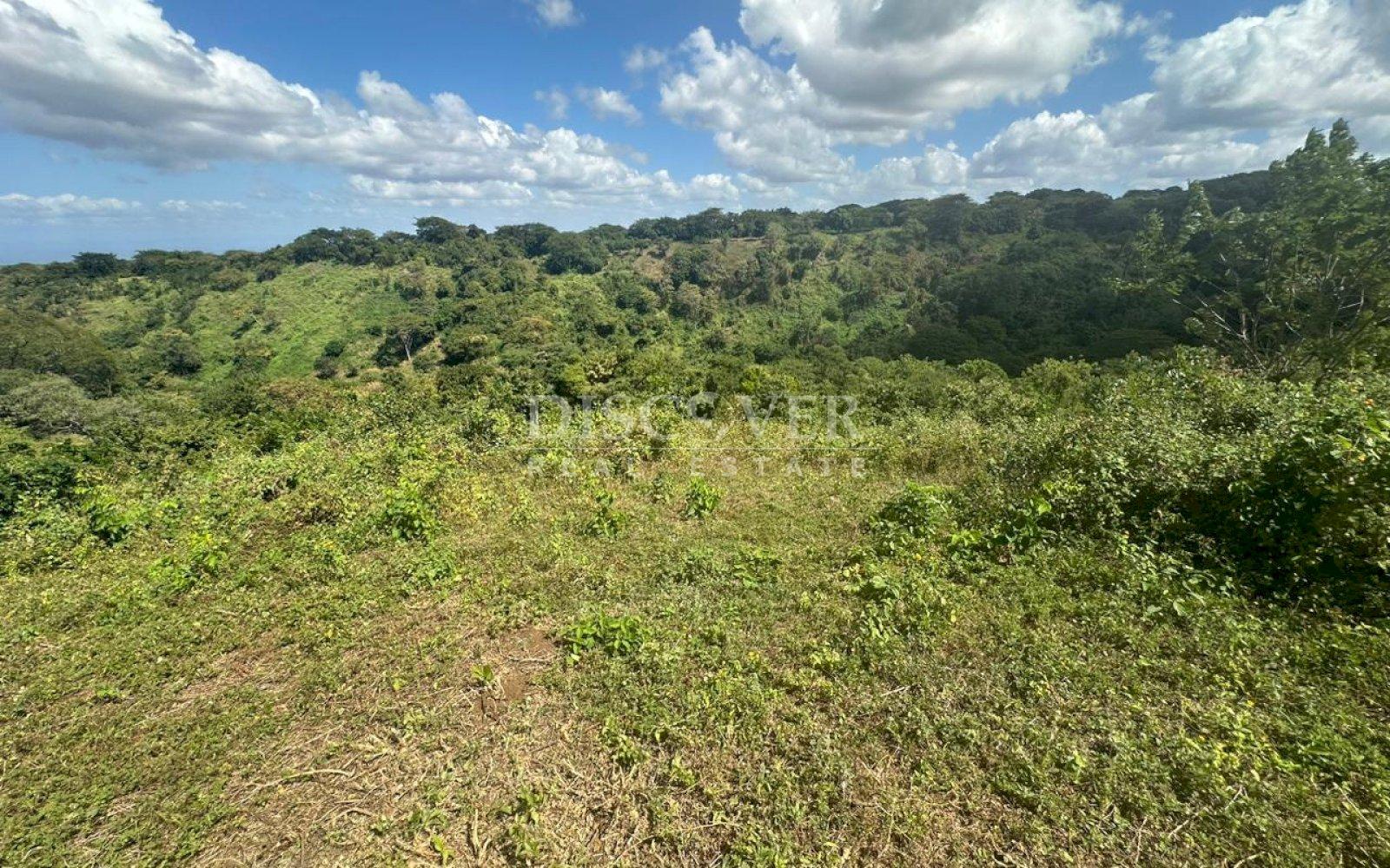  Land for Sale on Carretera Sur