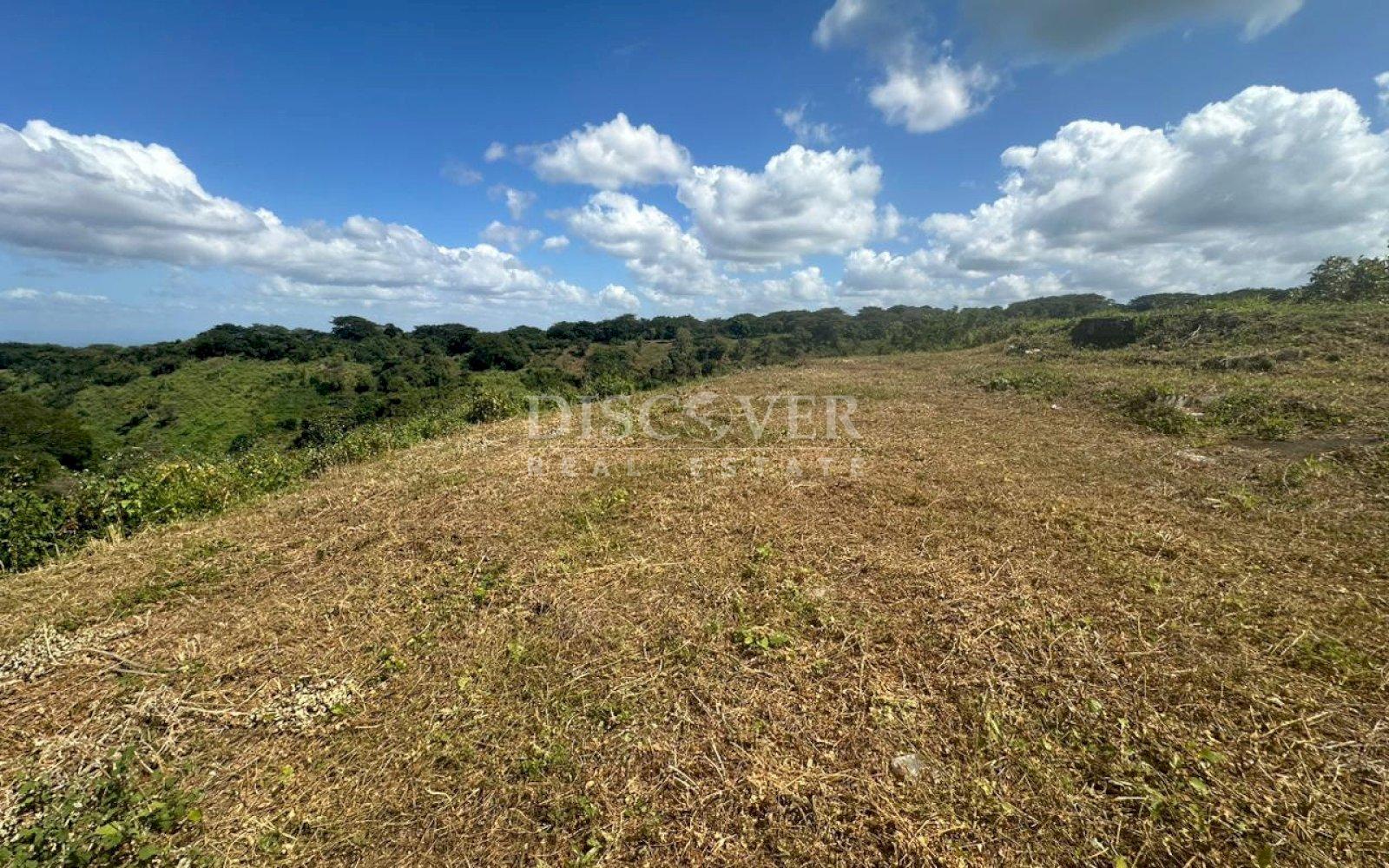  Land for Sale on Carretera Sur