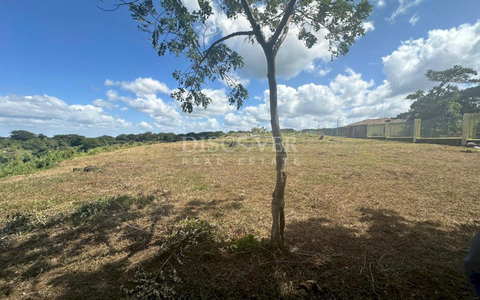  Land for Sale on Carretera Sur