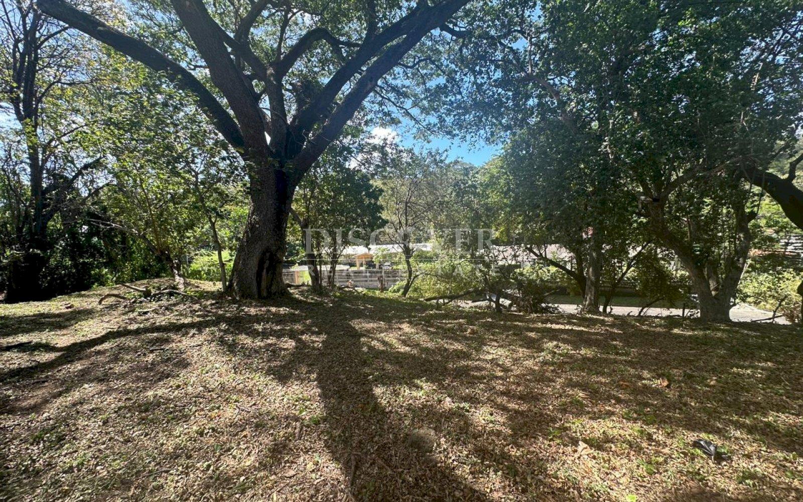  Land for Sale on Carretera Sur