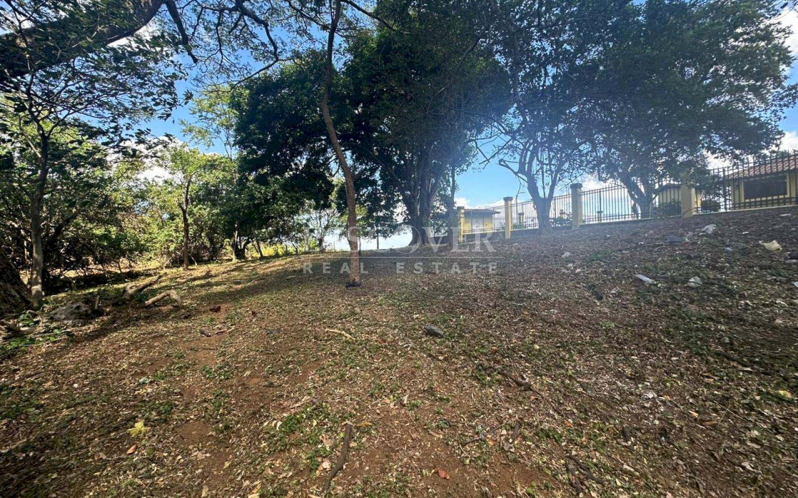  Land for Sale on Carretera Sur