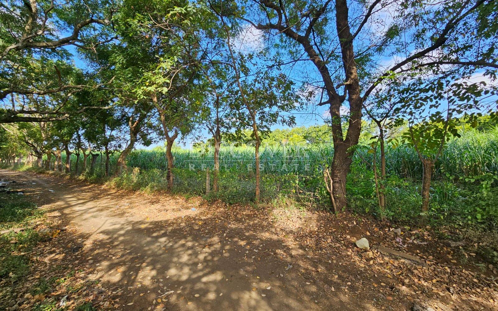 https://images.discovernica.com/propiedad/1600/ID_13481_1_.jpg