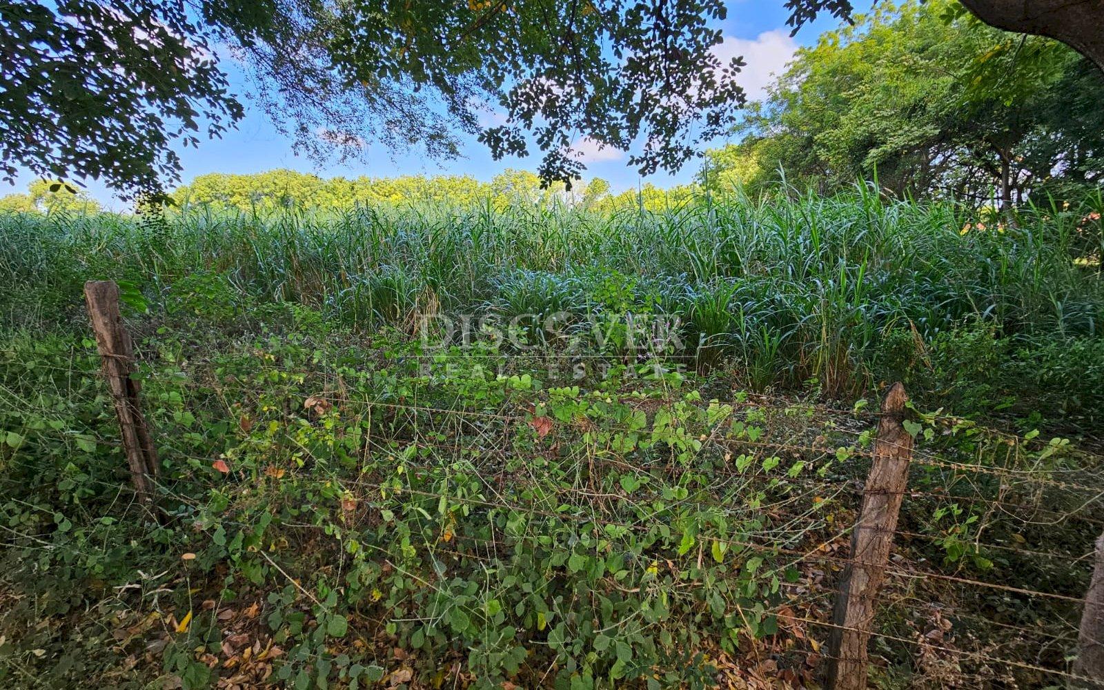 https://images.discovernica.com/propiedad/1600/ID_13481_2_.jpg