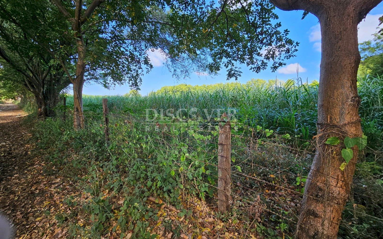 https://images.discovernica.com/propiedad/1600/ID_13481_3_.jpg