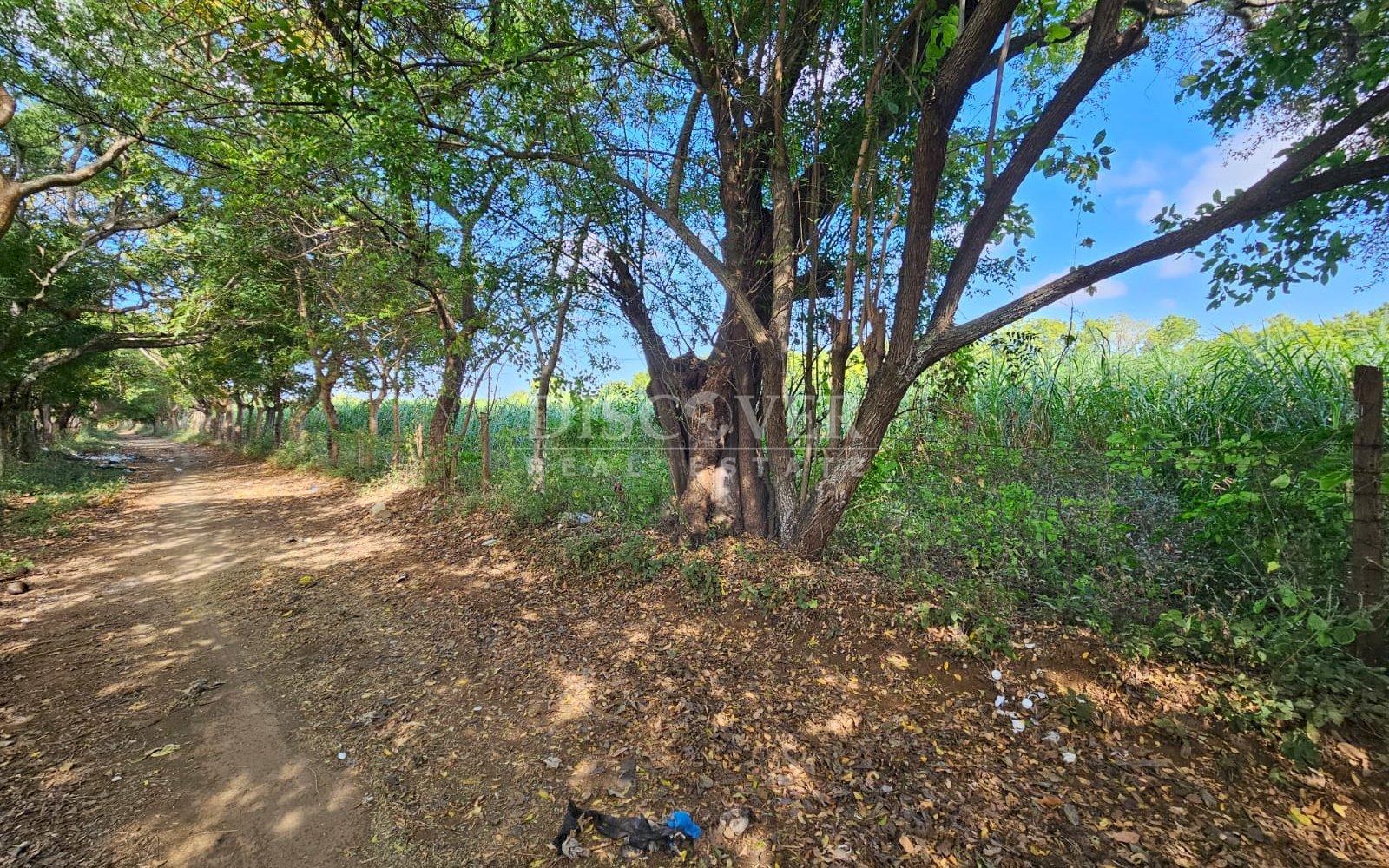 https://images.discovernica.com/propiedad/1600/ID_13481_4_.jpg