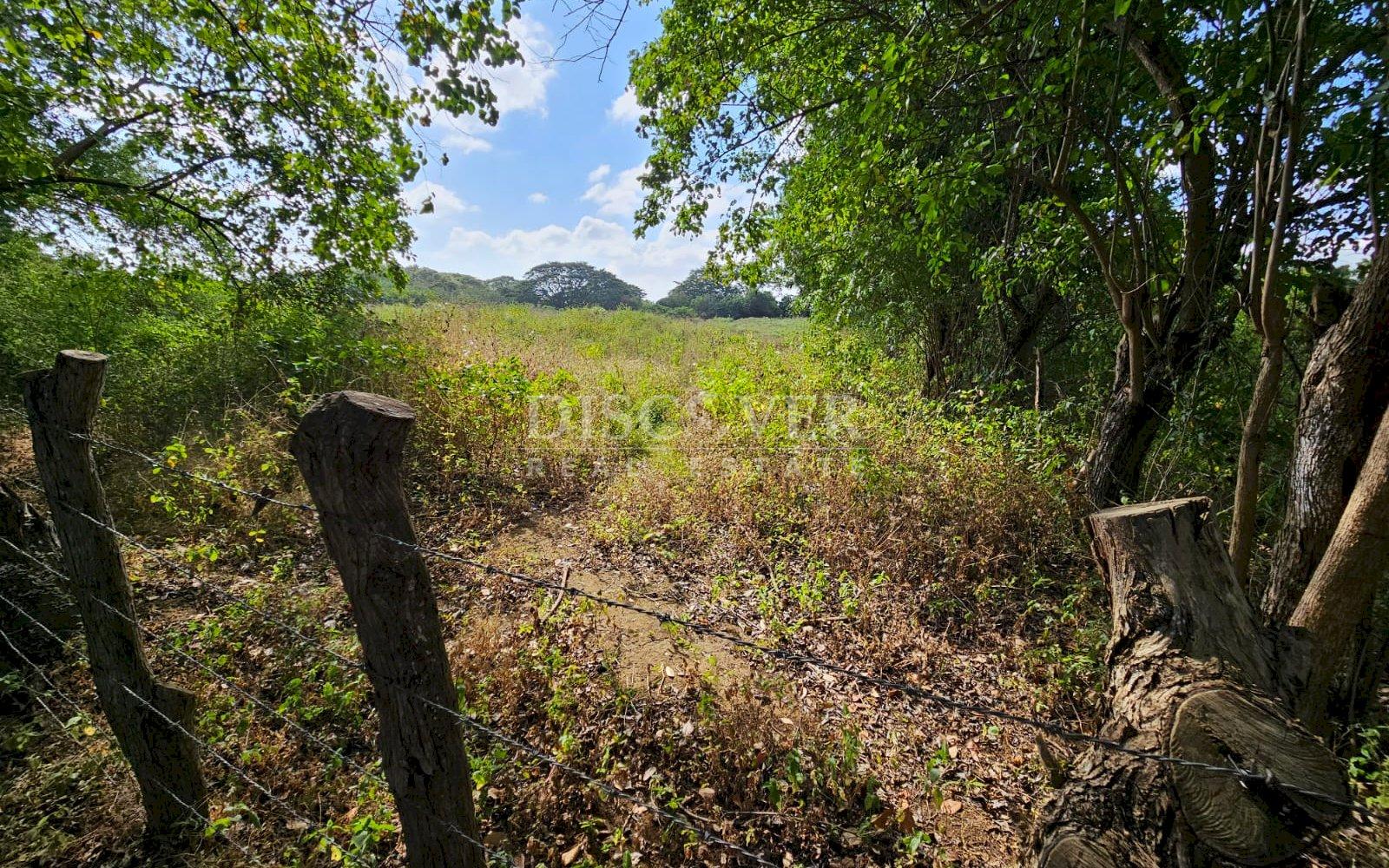 https://images.discovernica.com/propiedad/1600/ID_13481_5_.jpg