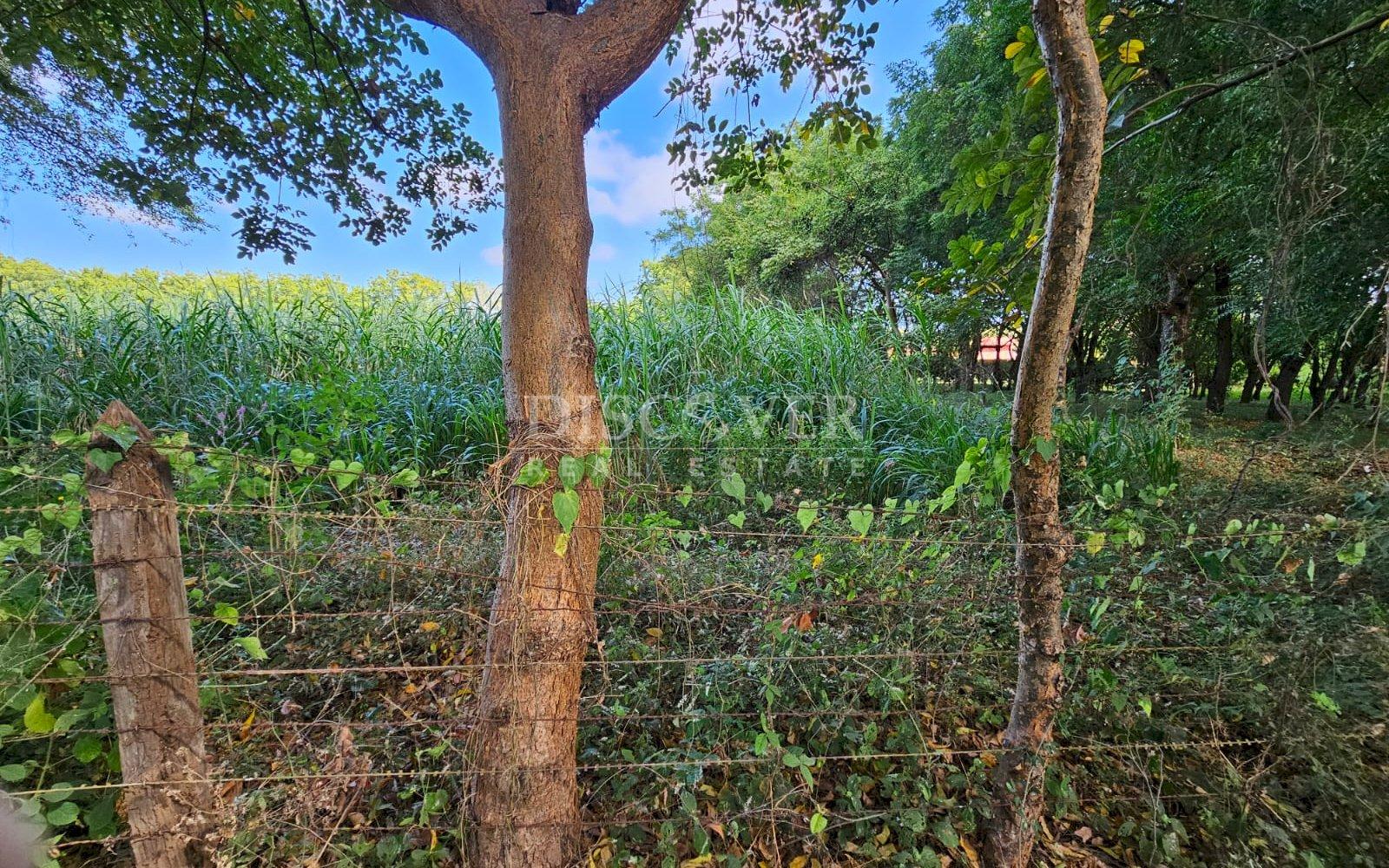 https://images.discovernica.com/propiedad/1600/ID_13481_6_.jpg