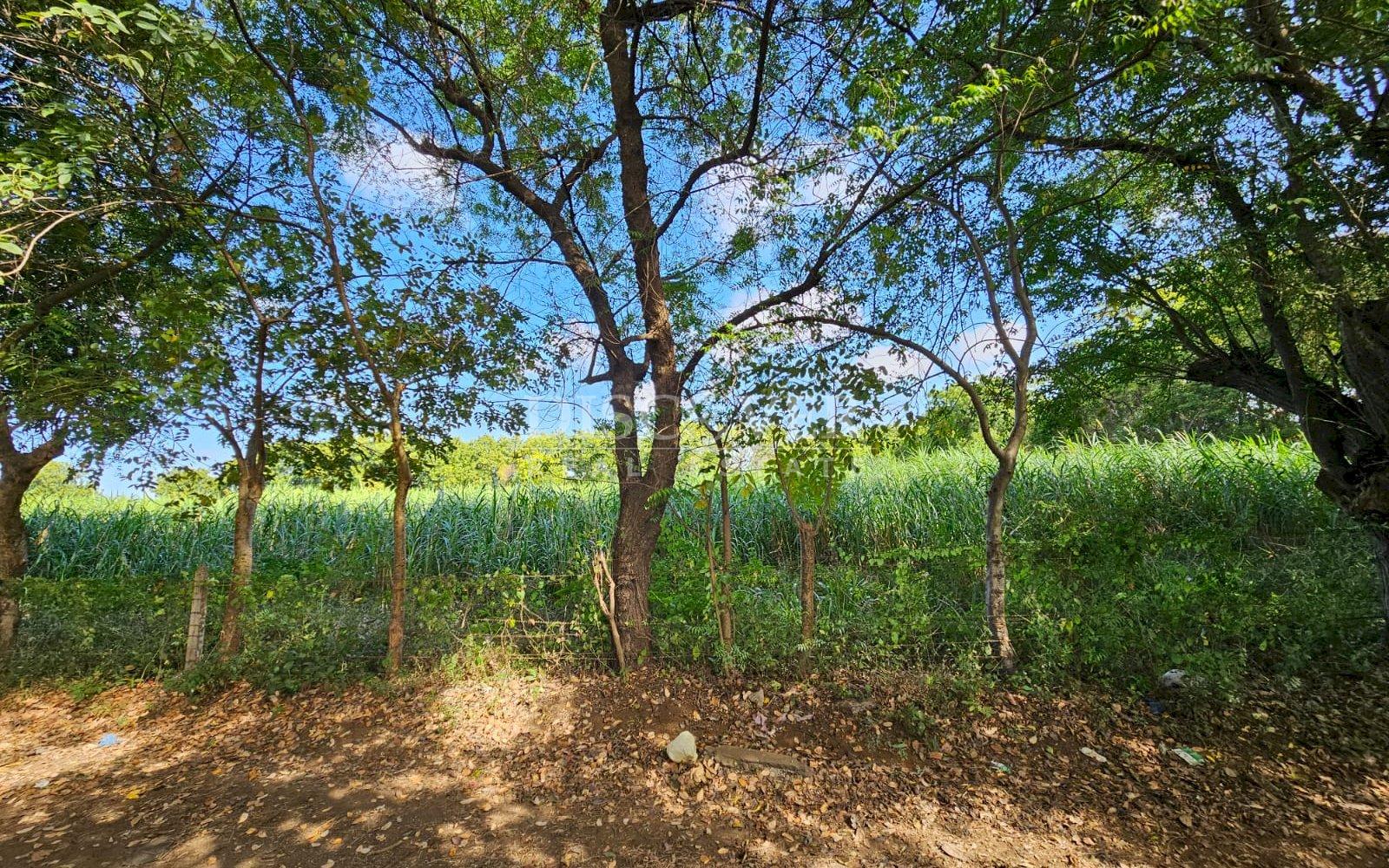 https://images.discovernica.com/propiedad/1600/ID_13481_7_.jpg