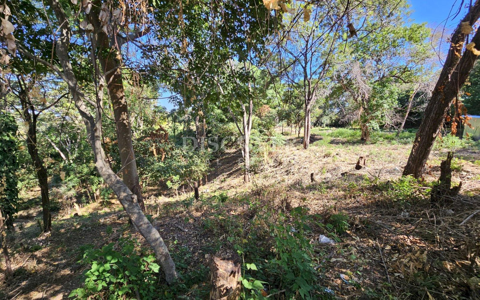 Imagen 1 de la galería