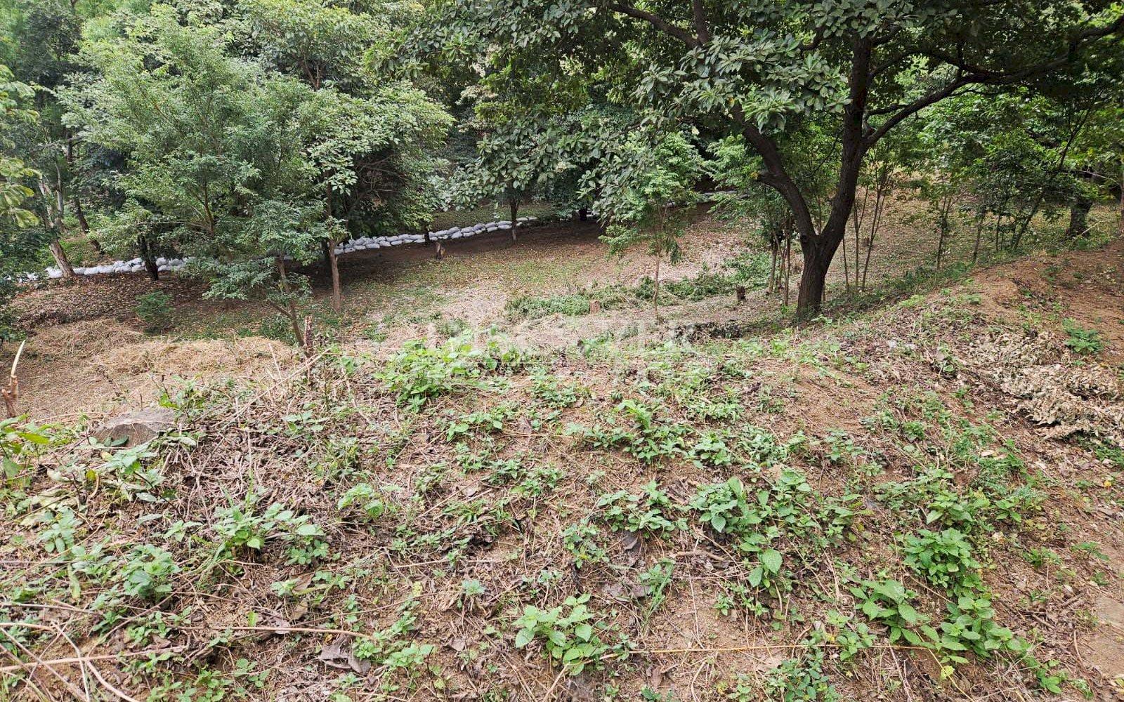 https://images.discovernica.com/propiedad/1600/ID_13483_1_.jpg