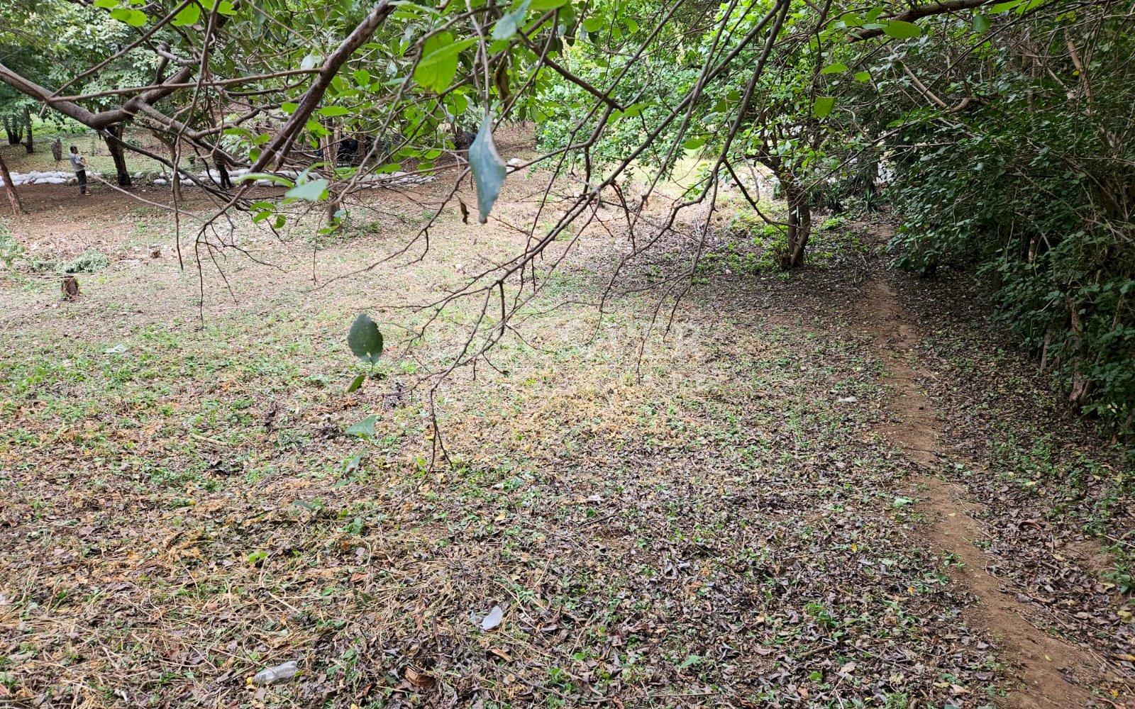 https://images.discovernica.com/propiedad/1600/ID_13483_3_.jpg