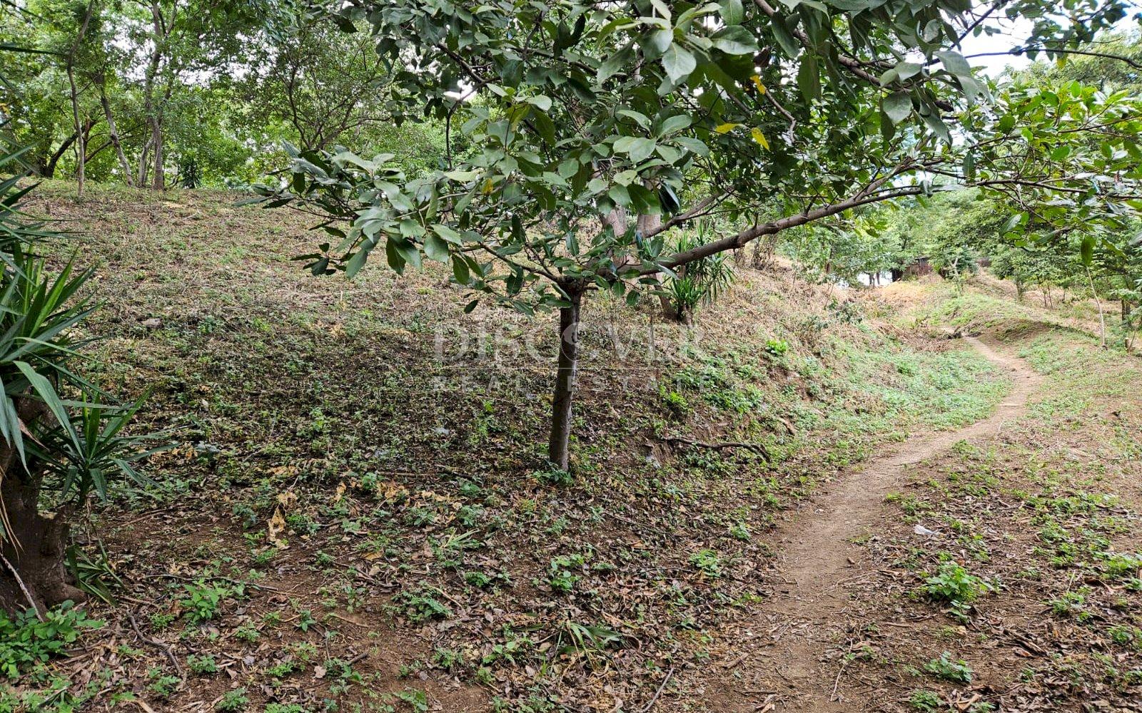 https://images.discovernica.com/propiedad/1600/ID_13483_4_.jpg