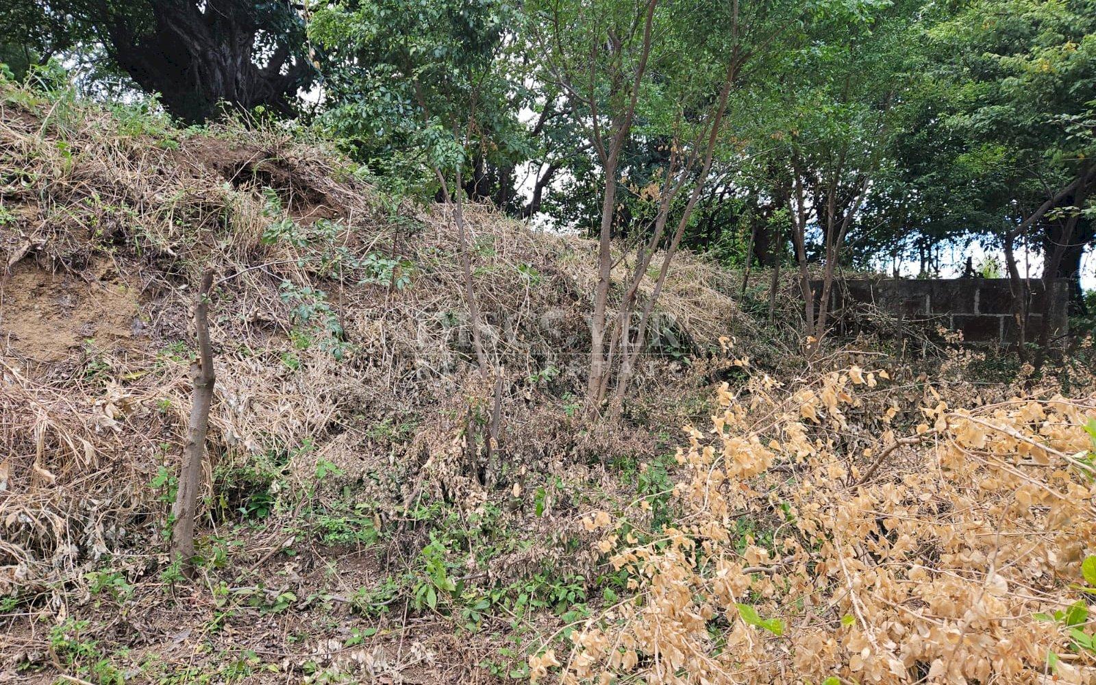 https://images.discovernica.com/propiedad/1600/ID_13483_6_.jpg