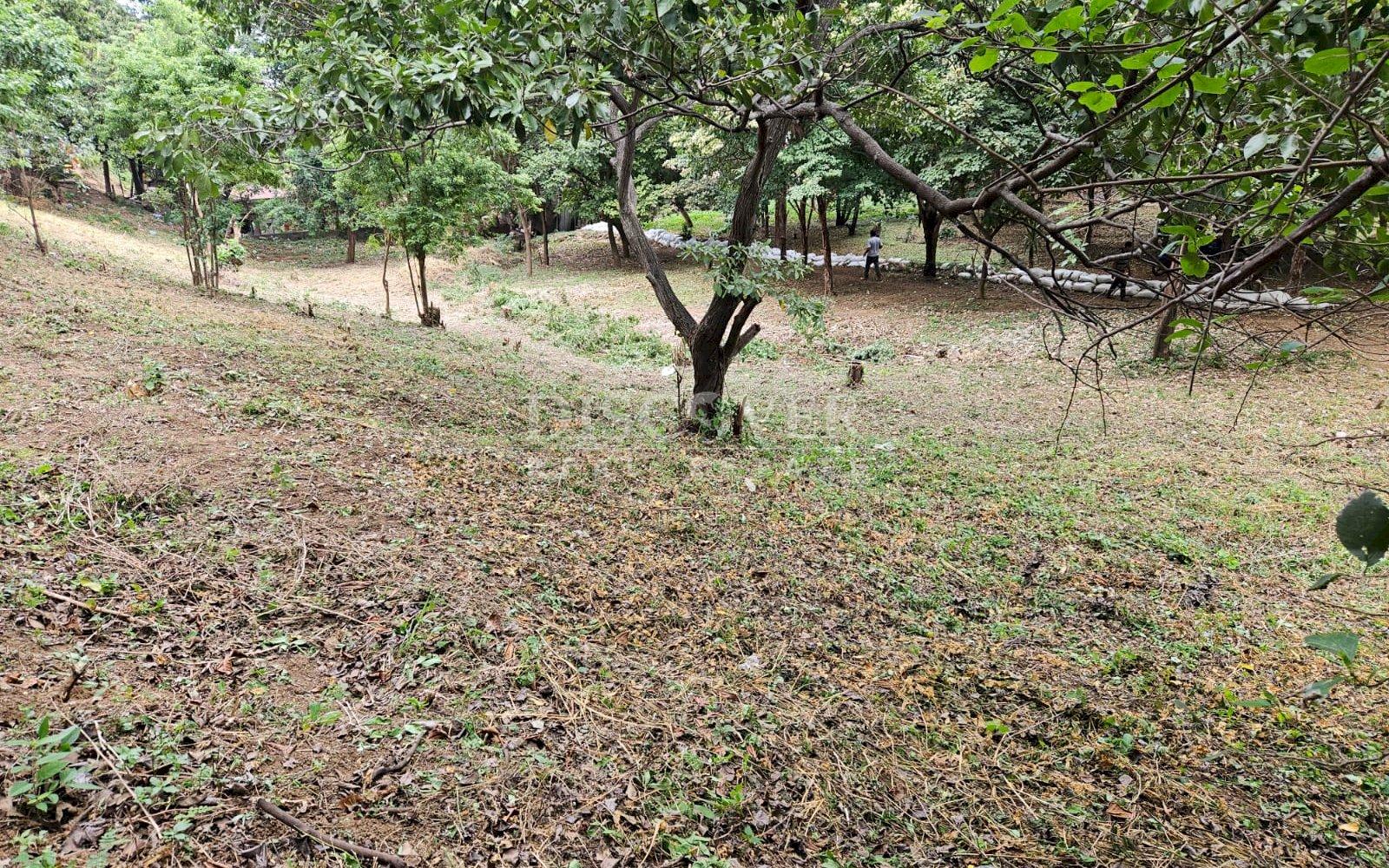 https://images.discovernica.com/propiedad/1600/ID_13483_8_.jpg