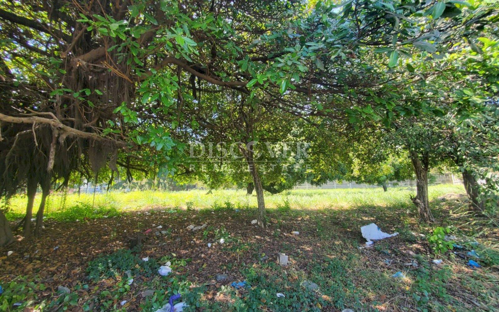  COMMERCIAL LAND FOR SALE ON THE ROAD TO MASAYA IN FRONT OF THE ROAD