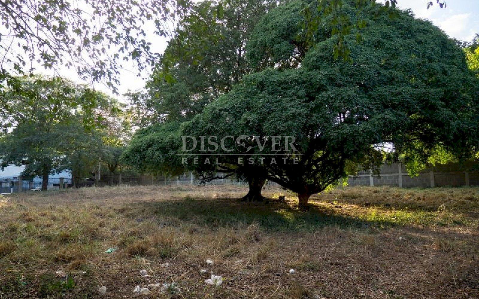  COMMERCIAL LAND FOR SALE ON THE ROAD TO MASAYA IN FRONT OF THE ROAD