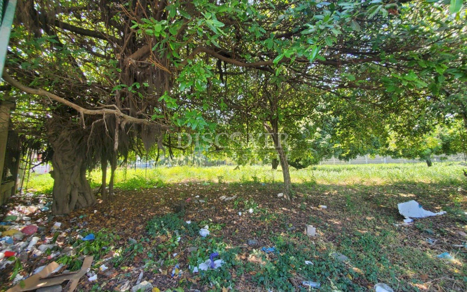  COMMERCIAL LAND FOR SALE ON THE ROAD TO MASAYA IN FRONT OF THE ROAD
