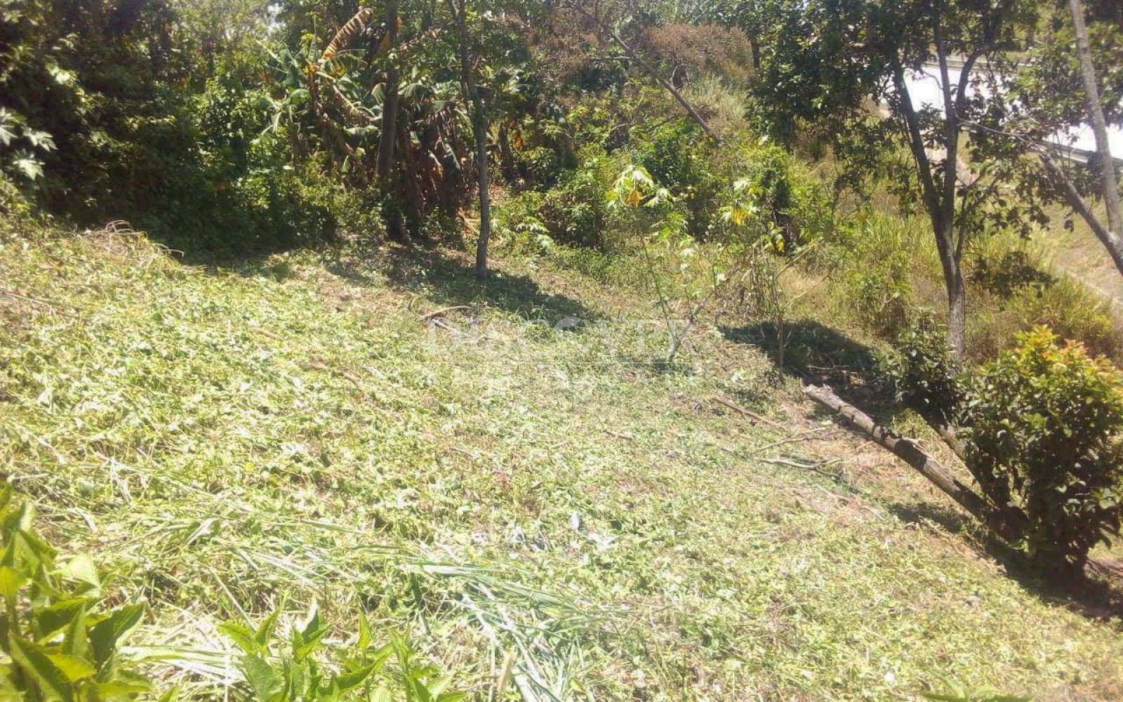 https://images.discovernica.com/propiedad/1600/ID_13537.jpg