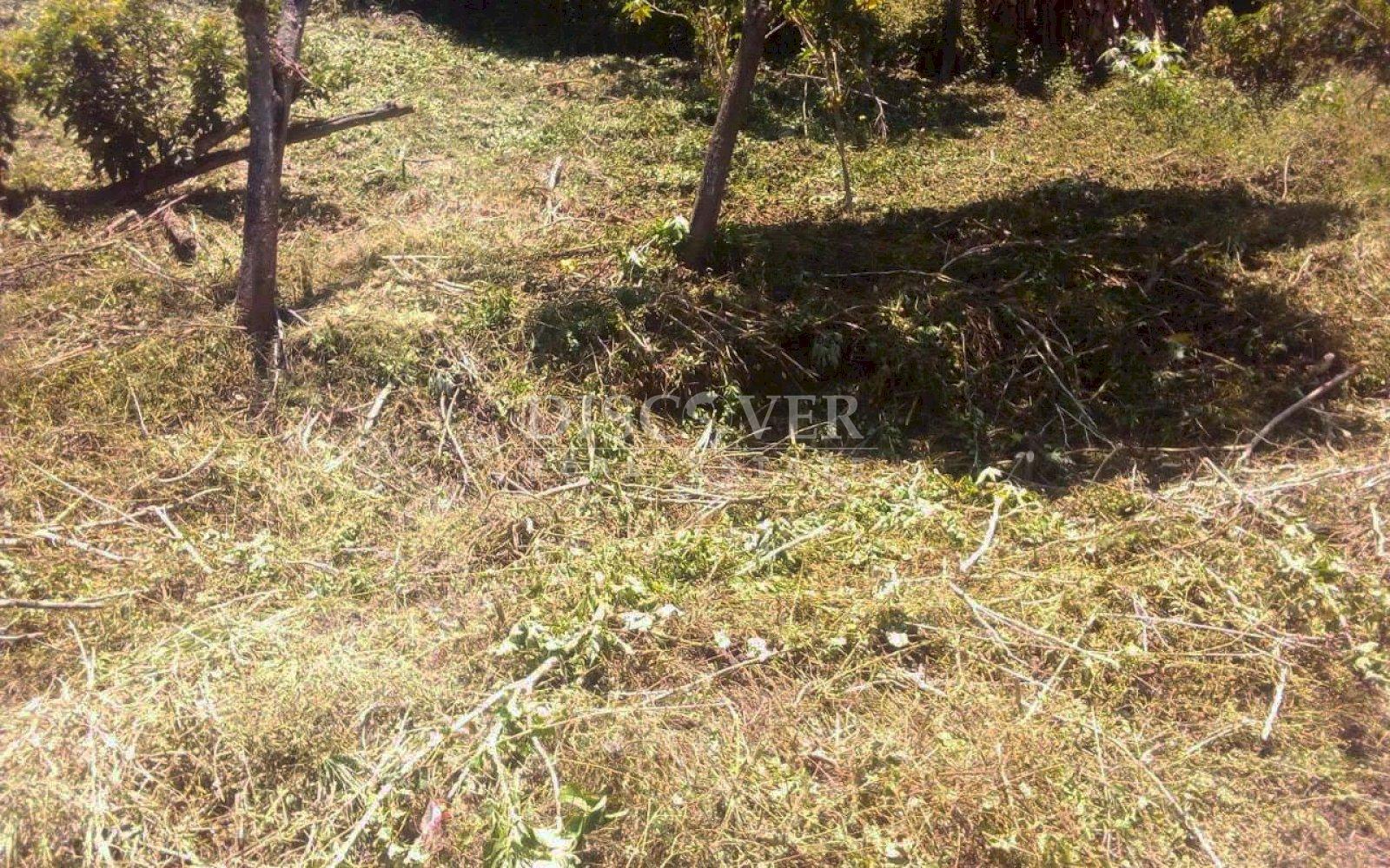 https://images.discovernica.com/propiedad/1600/ID_13537_2.jpg