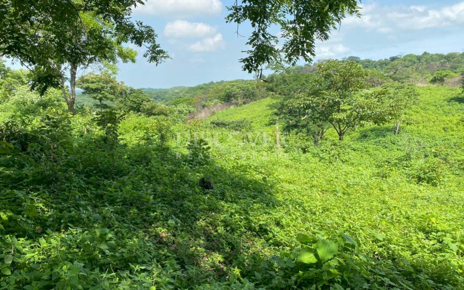 https://images.discovernica.com/propiedad/1600/ID_13540_1.jpg