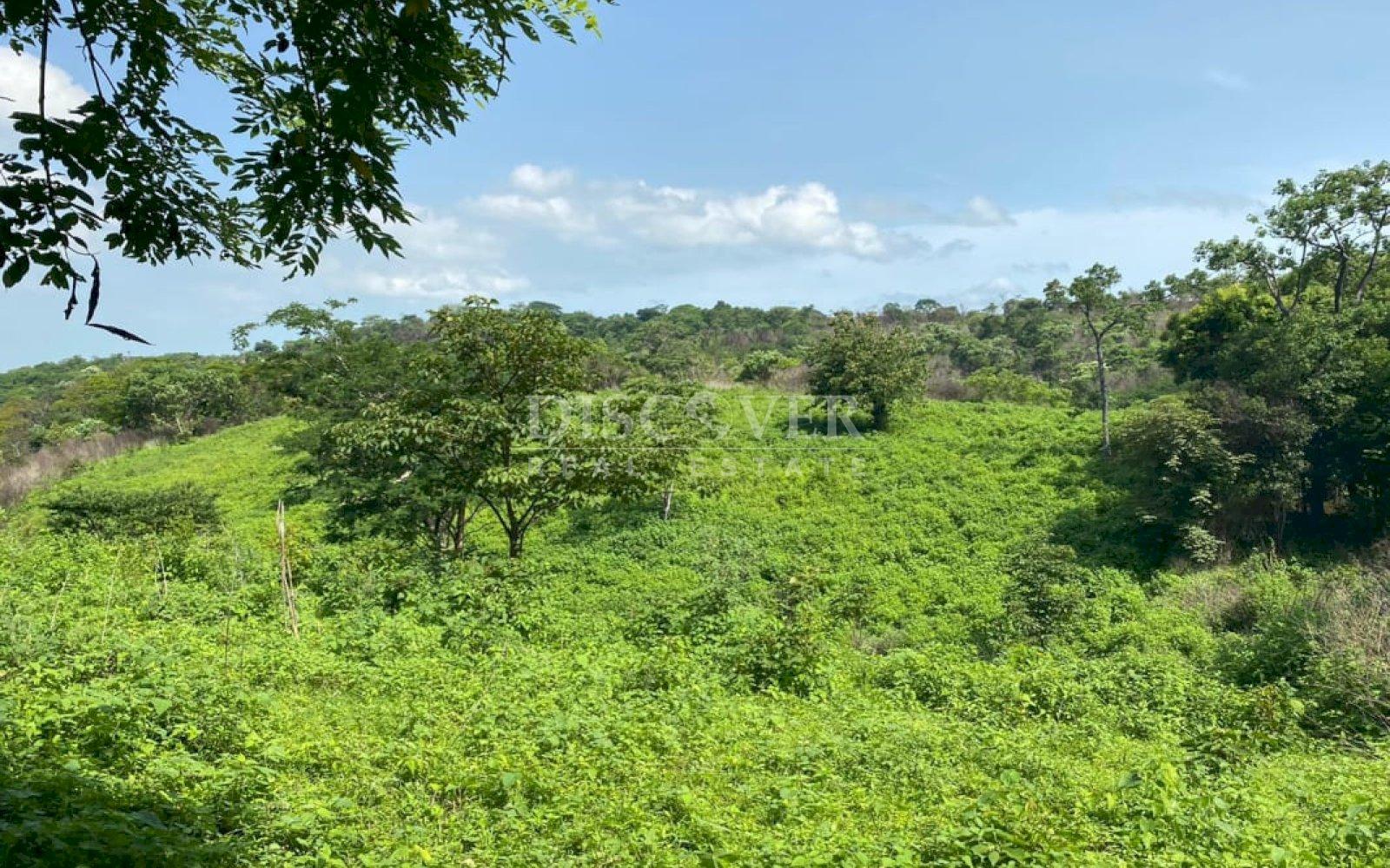 https://images.discovernica.com/propiedad/1600/ID_13540_2.jpg