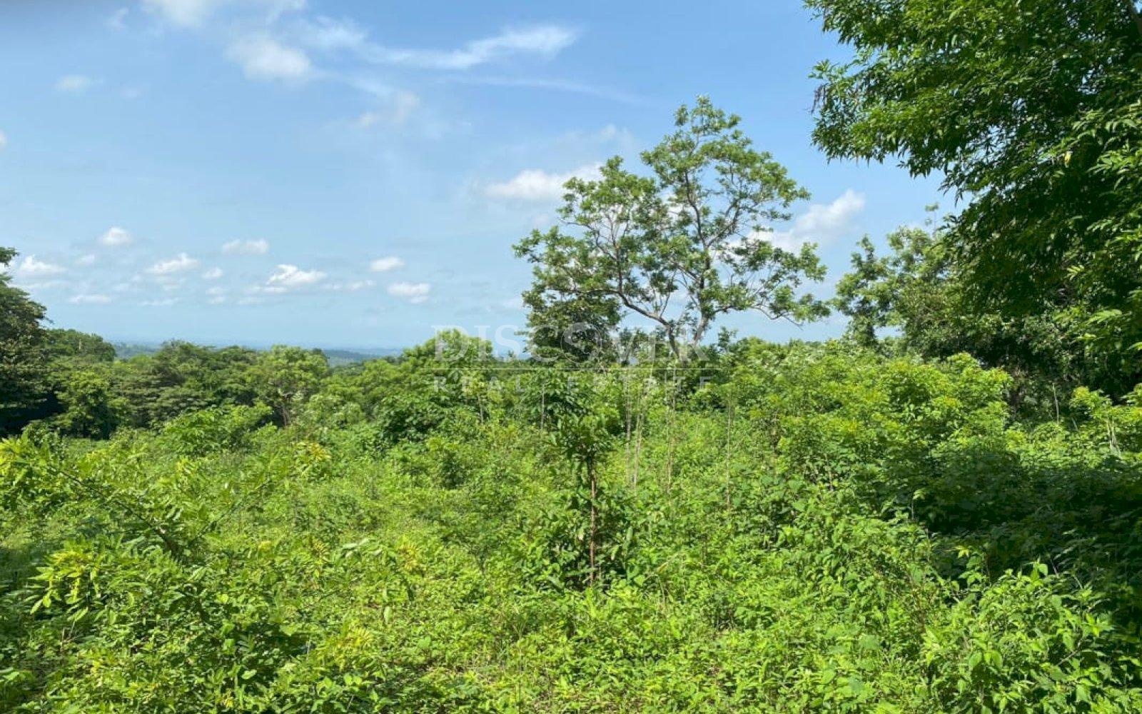 https://images.discovernica.com/propiedad/1600/ID_13540_3.jpg