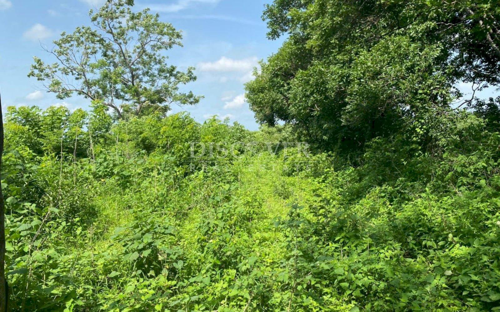 https://images.discovernica.com/propiedad/1600/ID_13540_4_.jpg