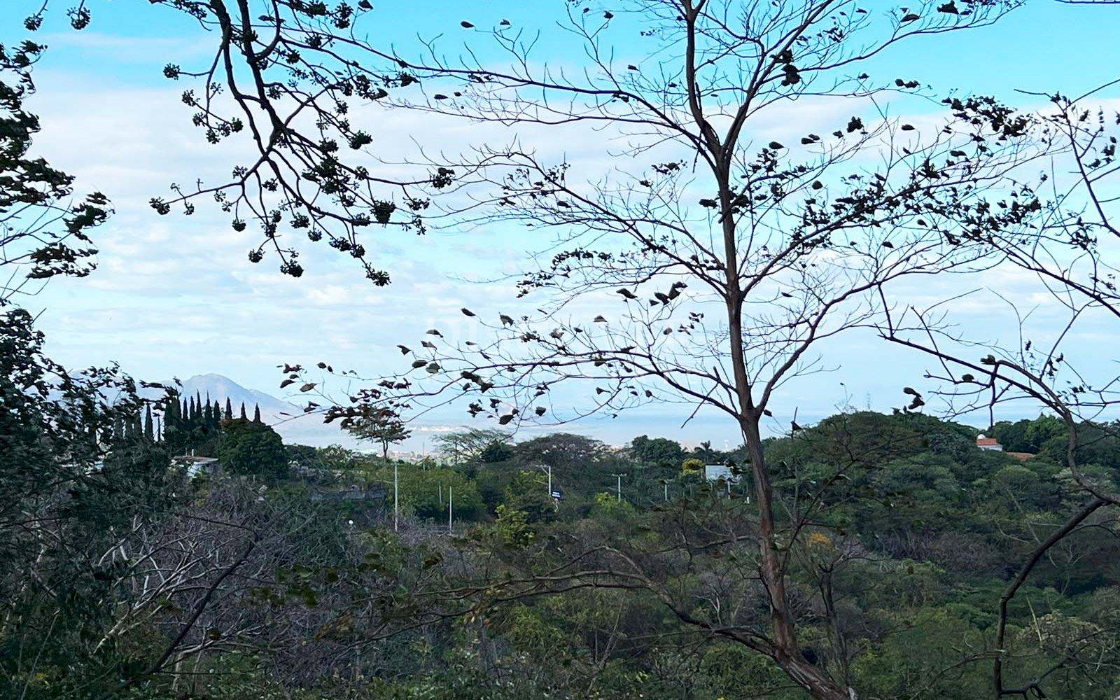 Land for sale opposite the Carretera Sur highway with lake views